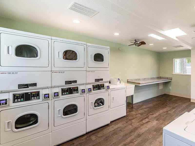 2215 Peach Tree Dr - Photo 3 of 25
