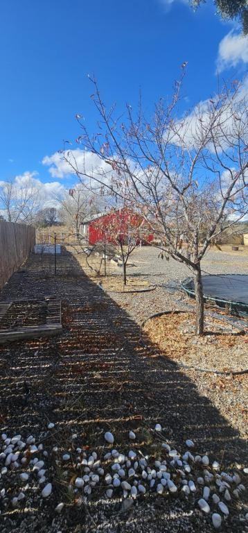 1 Encina St - Photo 7 of 29