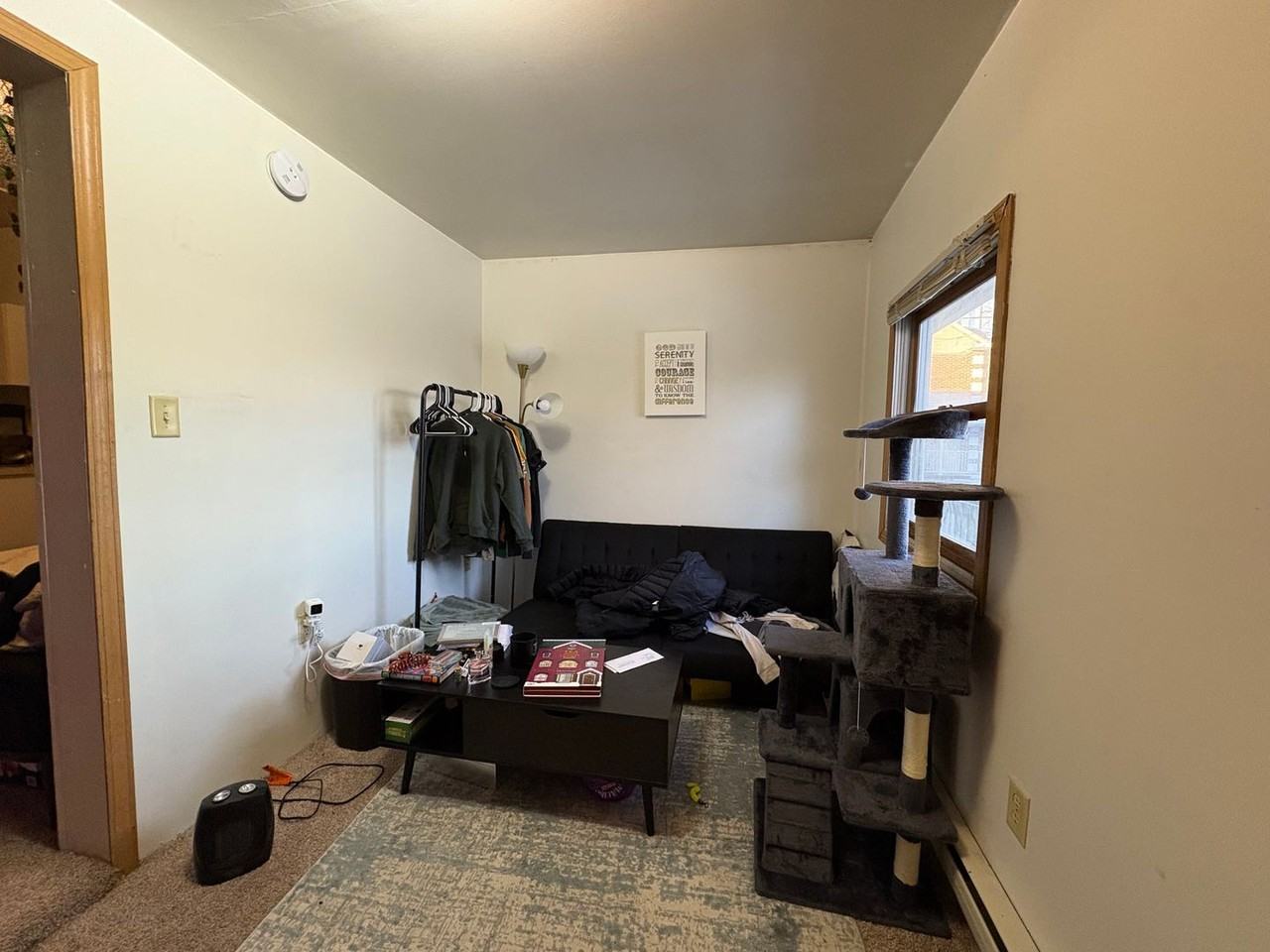 532 S. Dubuque Street - Photo 3 of 20