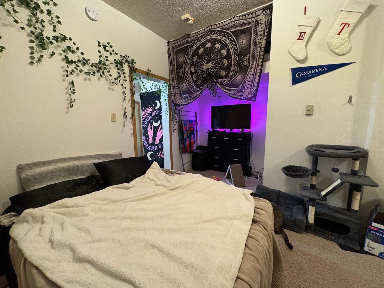 532 S. Dubuque Street - Photo 4 of 20