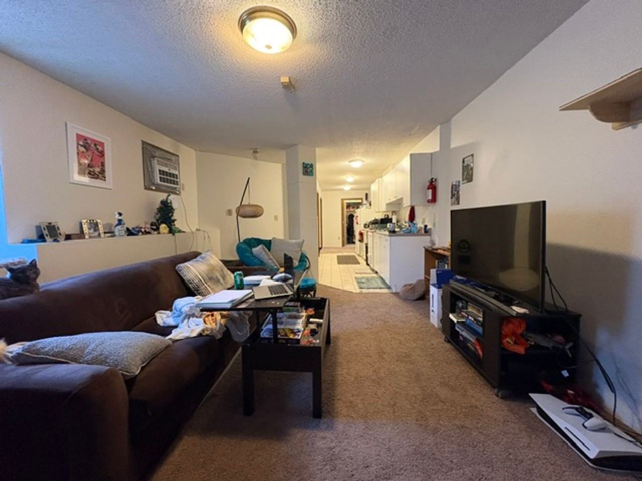 532 S. Dubuque Street - Photo 3 of 20