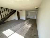 Bailey - Photo 1 of 1