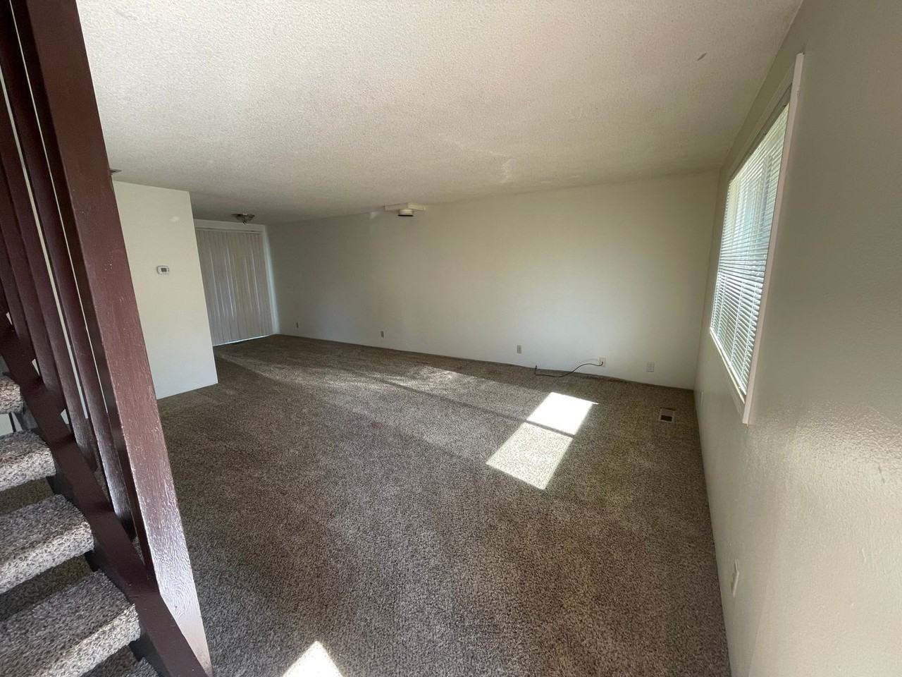 Bailey - Photo 3 of 24