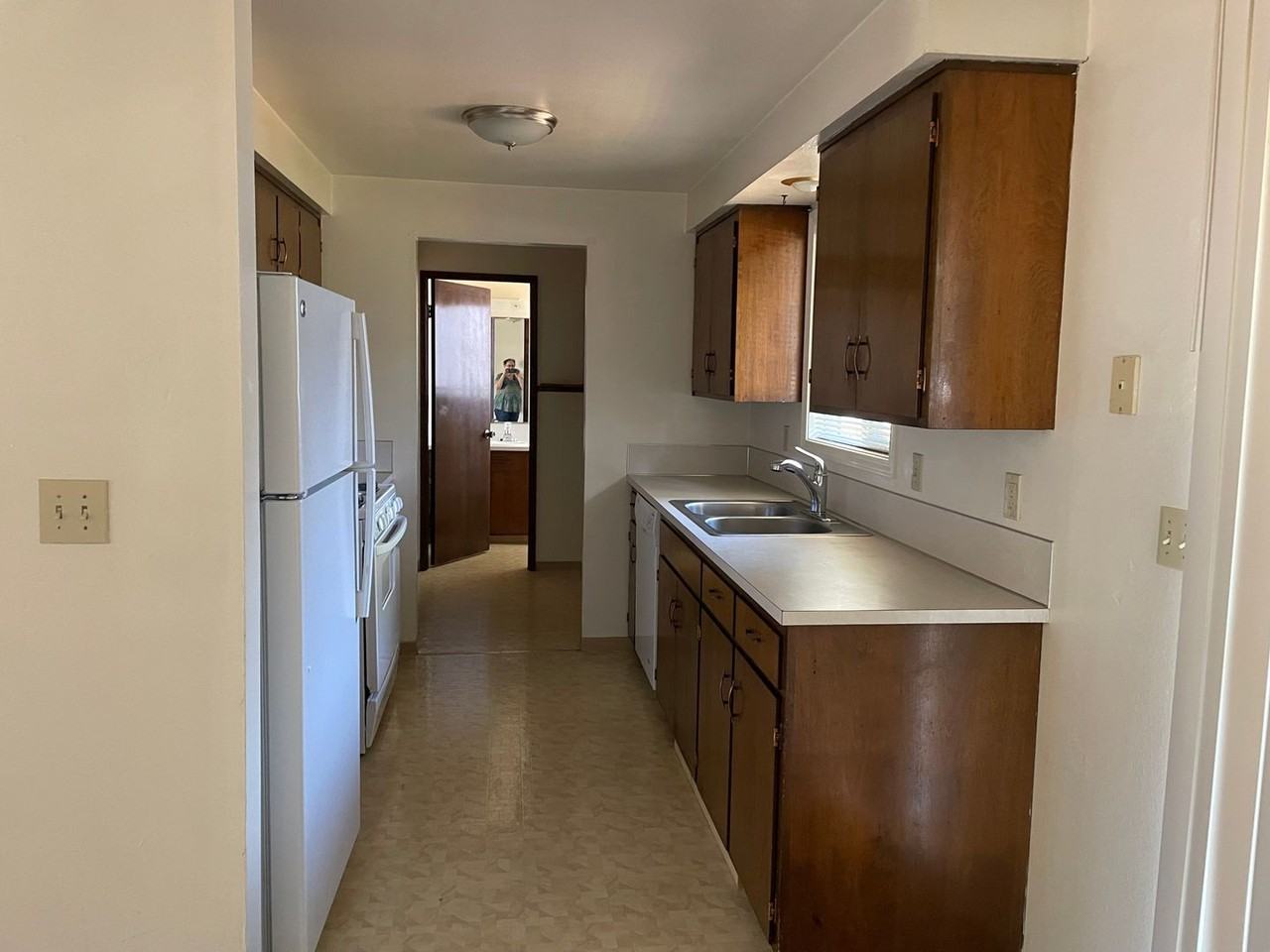 Bailey - Photo 4 of 24