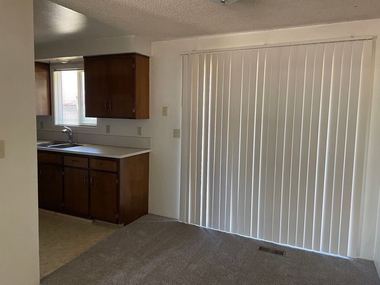 Bailey - Photo 5 of 24