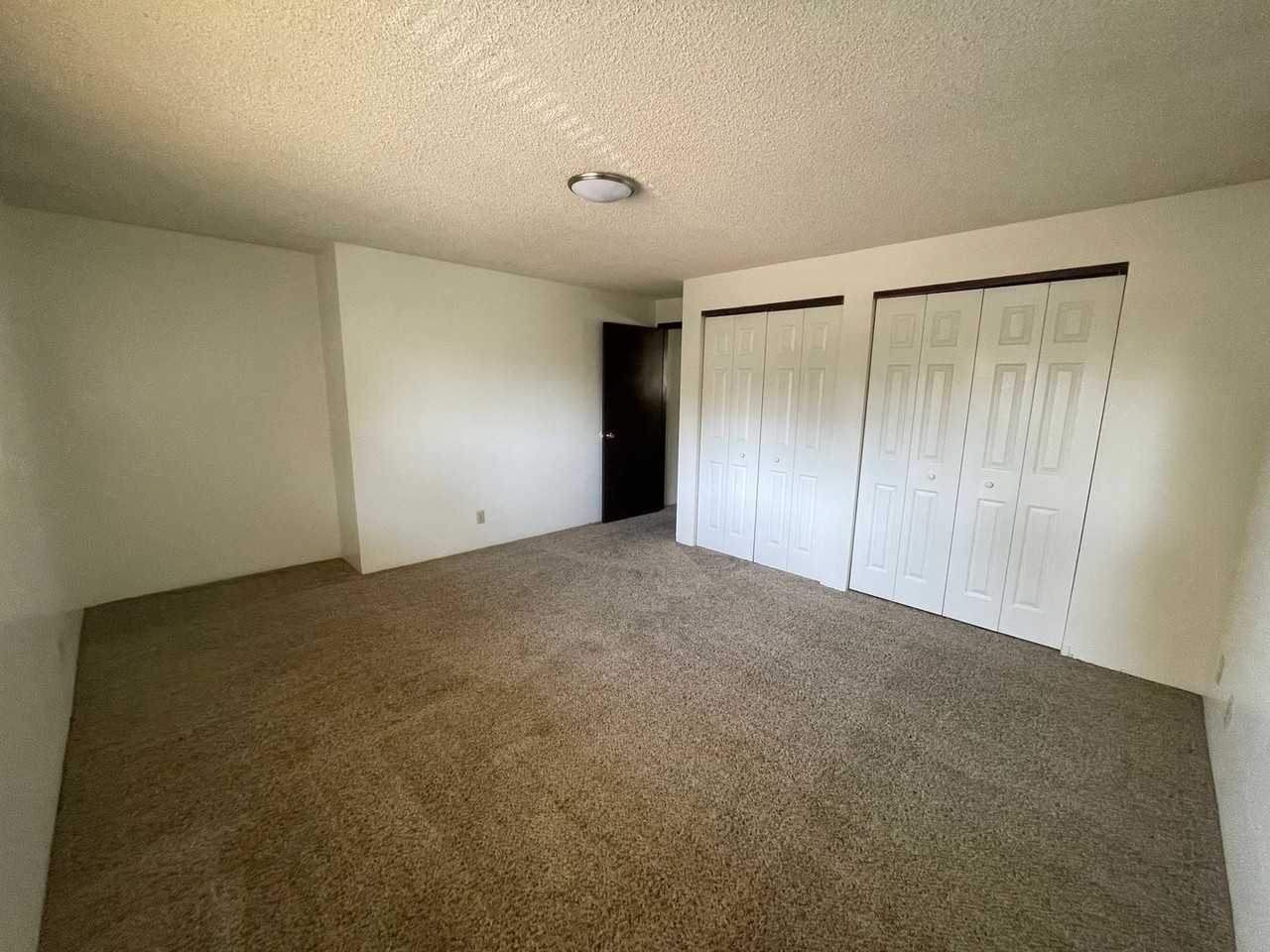 Bailey - Photo 7 of 24