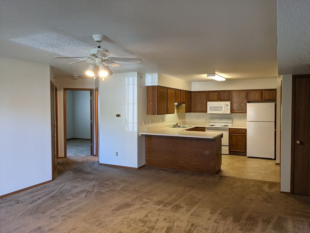 641 Kimberlite St - Photo 3 of 8