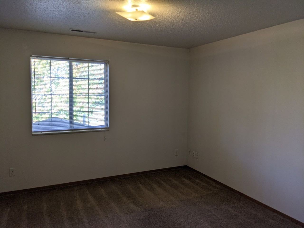 641 Kimberlite St - Photo 7 of 8