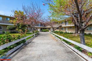 Agate 3568 - Photo 1 of 1