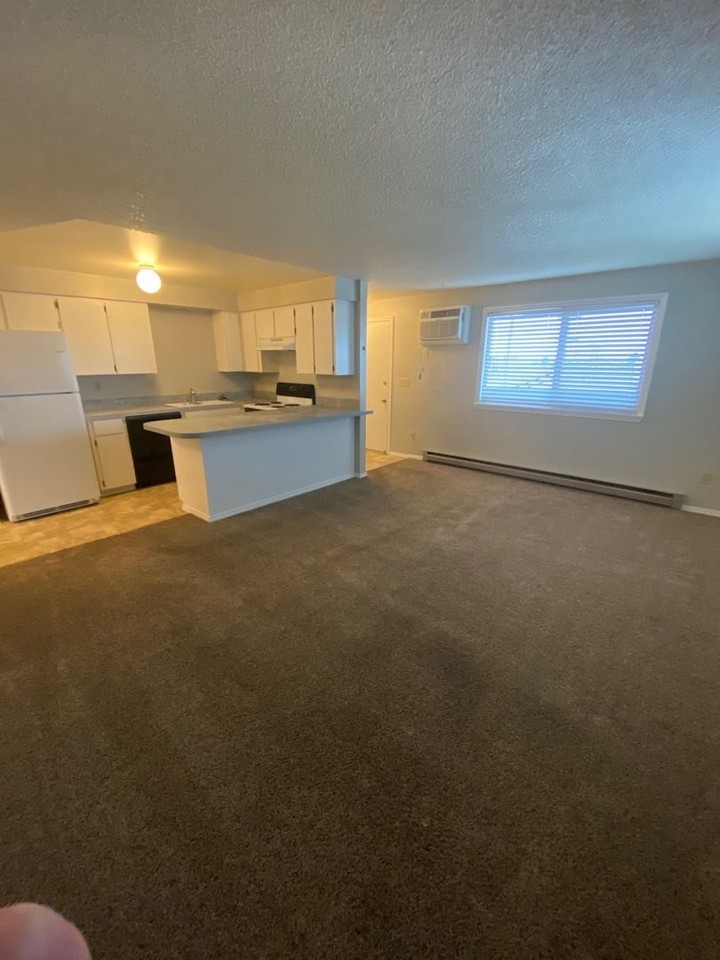 1522 S Lawson St - Photo 4 of 12