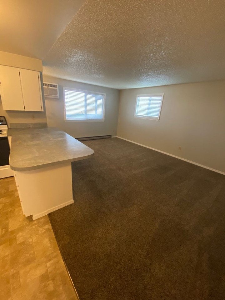 1522 S Lawson St - Photo 5 of 12