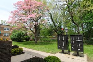 featured image of 6628 N 8th St