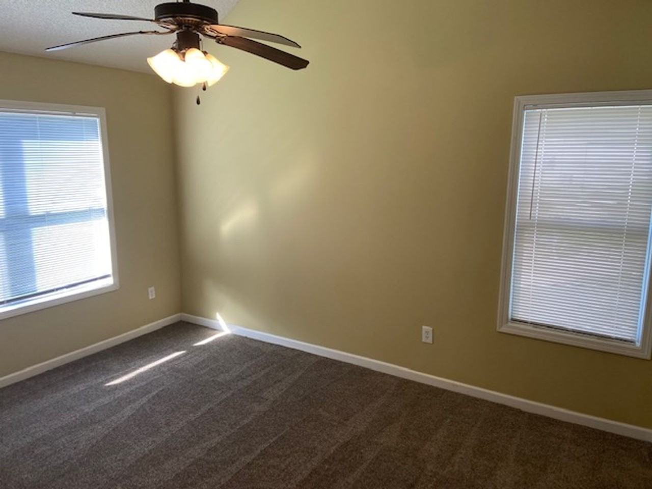 306 Countryview Cv - Photo 4 of 13