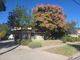 Live Oak St. Apartments - Photo 1 of 1