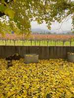 featured image of 31451 N Redwood Hwy