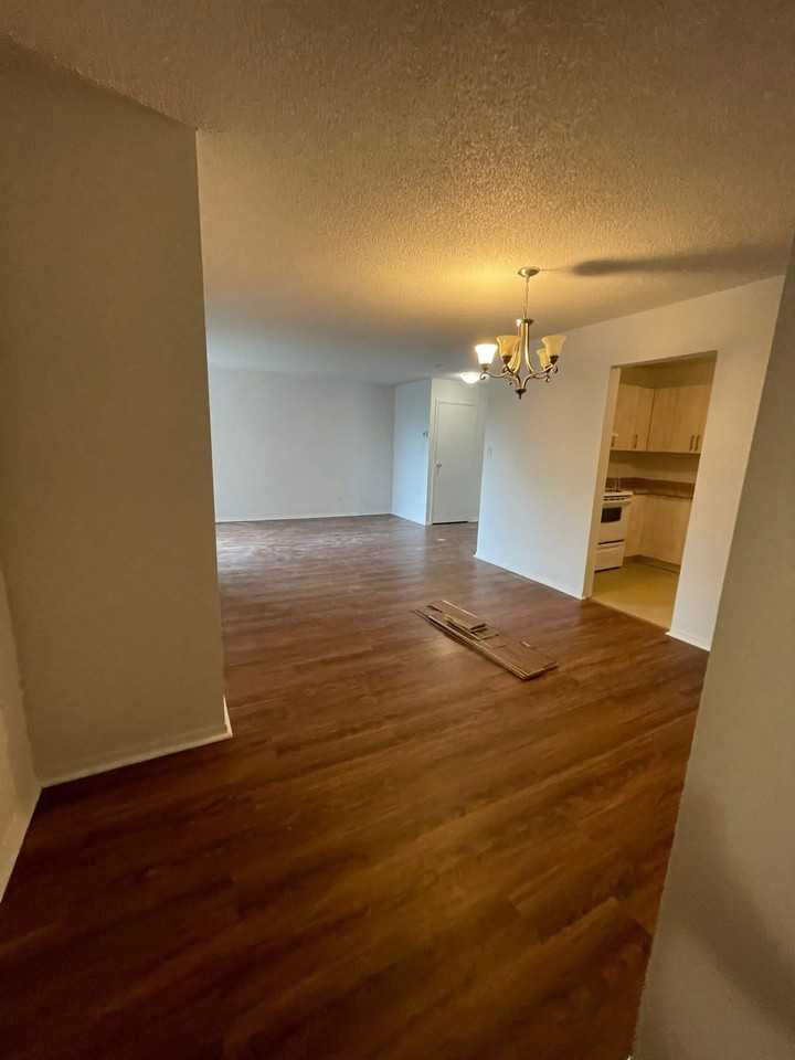 6655 Mackle - Photo 2 of 50