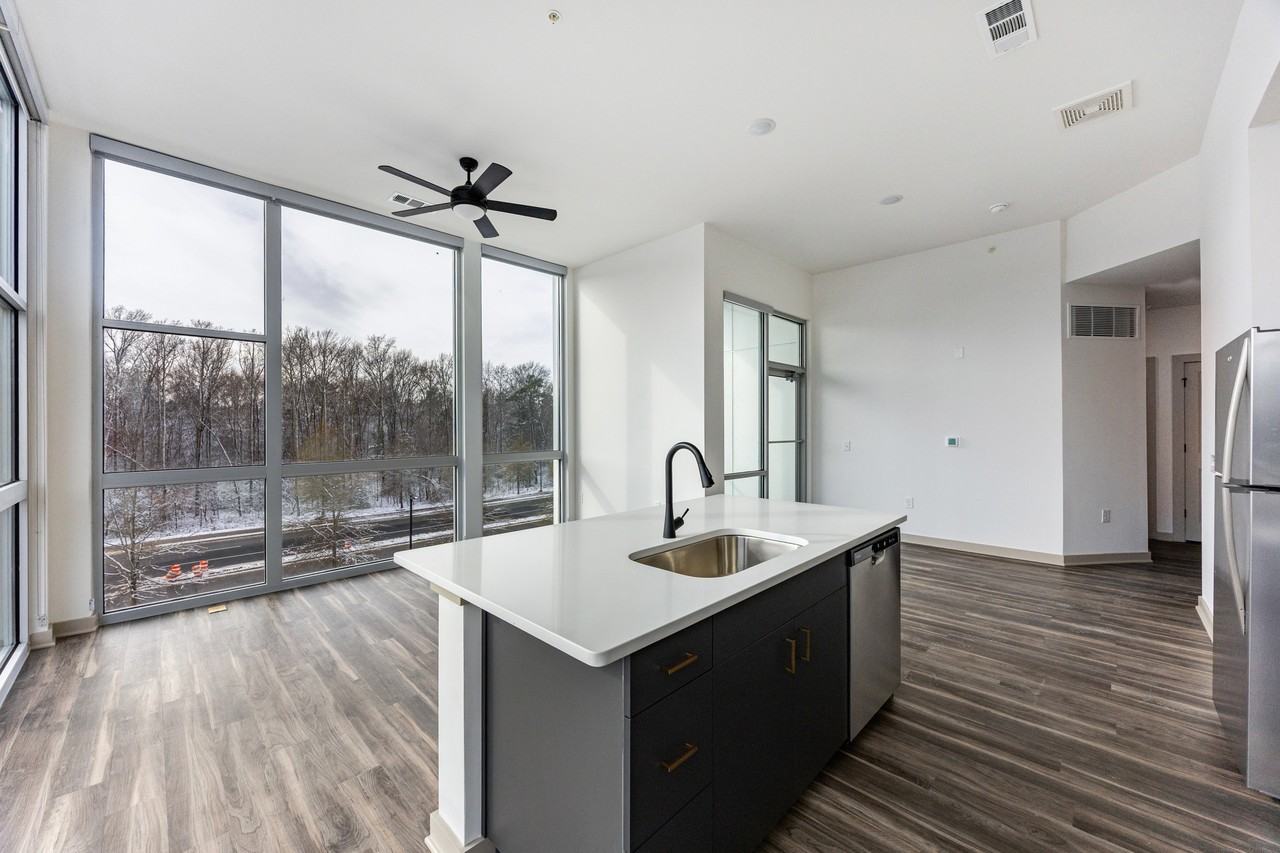 The River - Photo 7 of 15