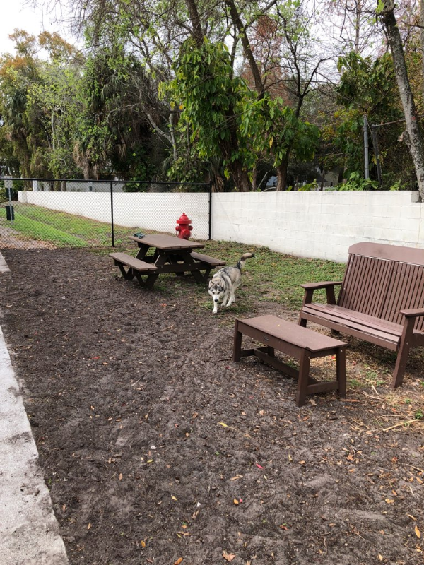 115 S Lois Ave #204 - Photo 4 of 10