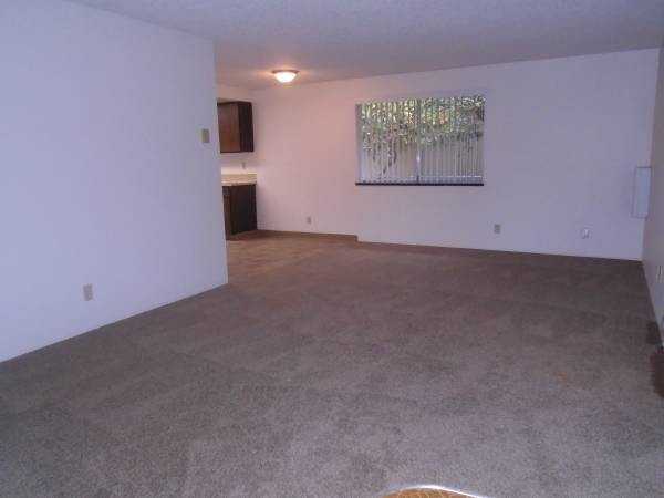 4503 Campbell Dr Se #4503 - Photo 4 of 20