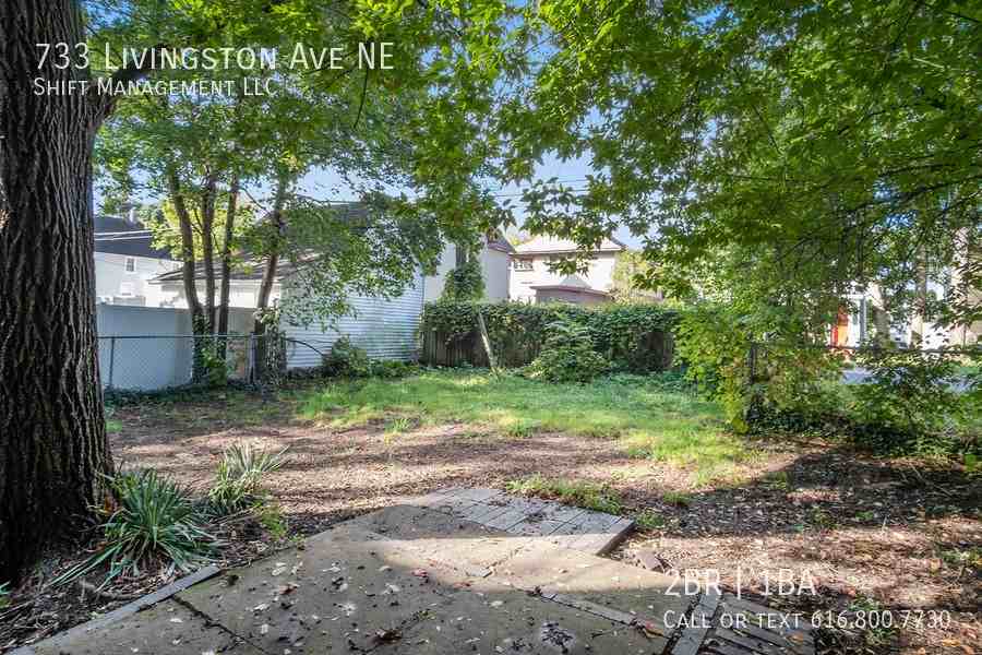 733 Livingston Ave Ne - Photo 4 of 18