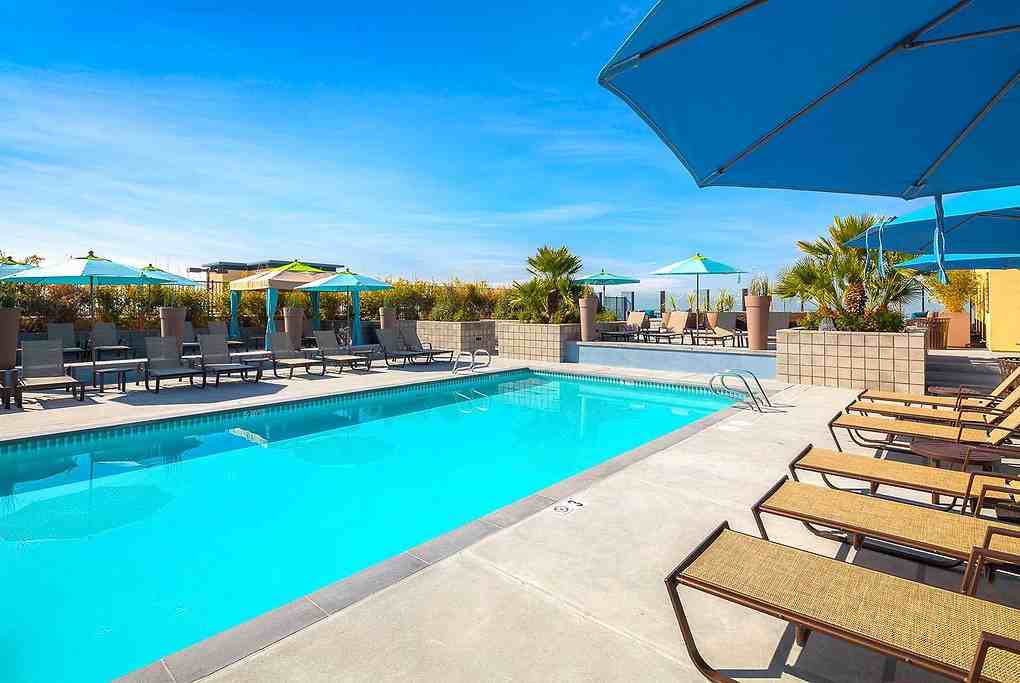 Apex - Photo 2 of 50