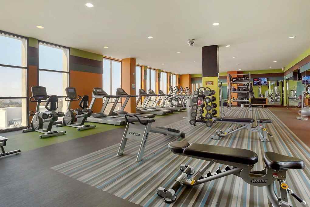 Apex - Photo 5 of 50