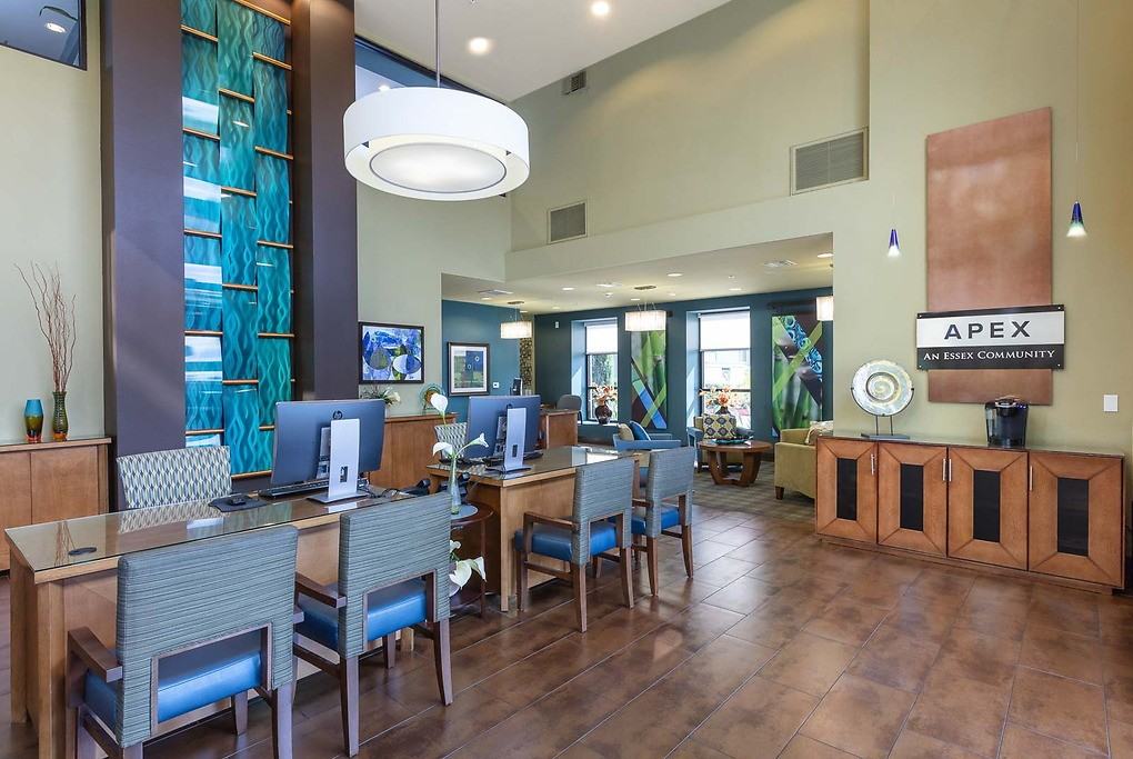 Apex - Photo 7 of 50