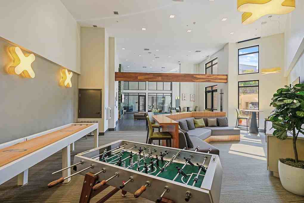 Radius - Photo 6 of 43