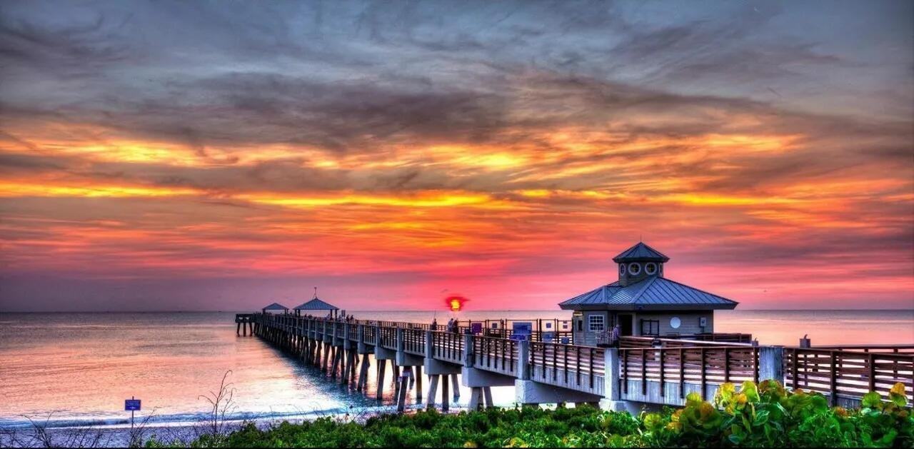 11865 Ellison Wilson Rd #11865A - Photo 4 of 12