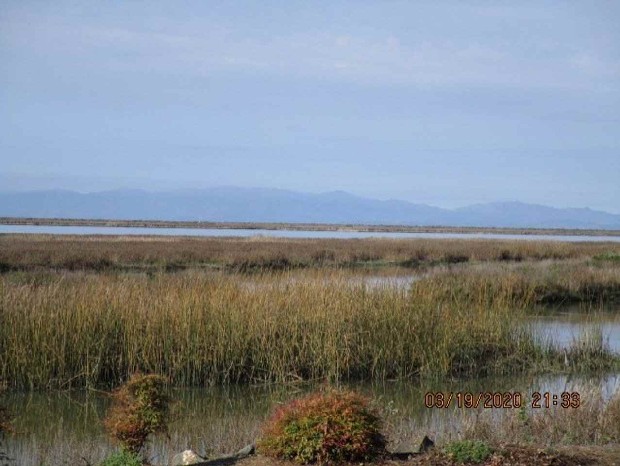 654 Catalina Cir - Photo 3 of 28