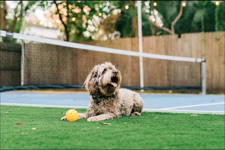 2705 N Oakdale Ave #2705 - Photo 7 of 39