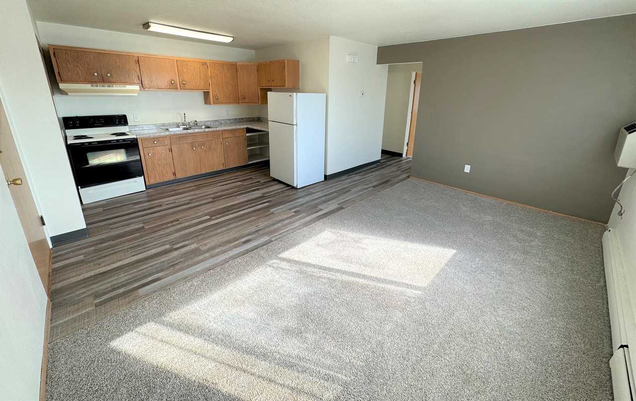 2120 3rd Ave SE - 12 PLEX - Photo 2 of 14