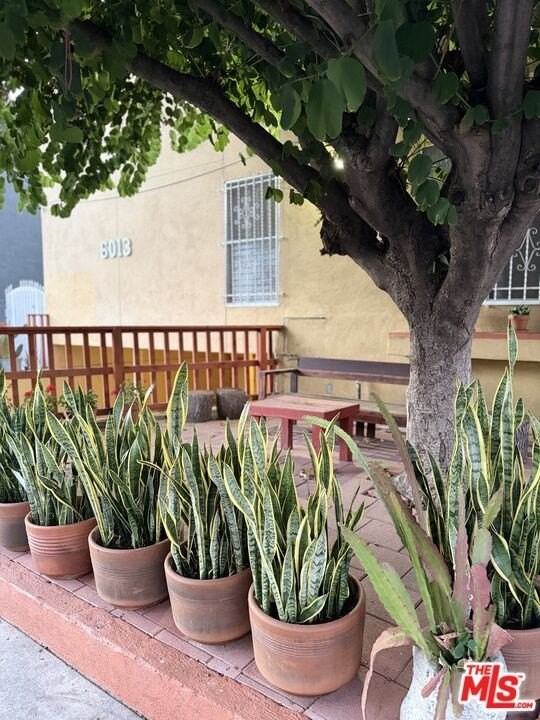 6013 Carlton Way Apt 1 #1