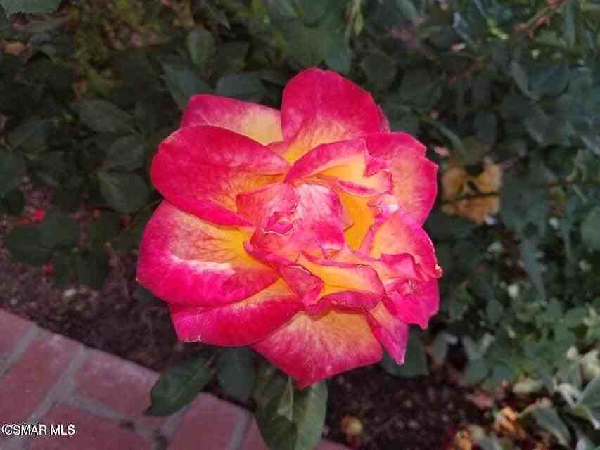 3287 Sierra Dr - Photo 4 of 33