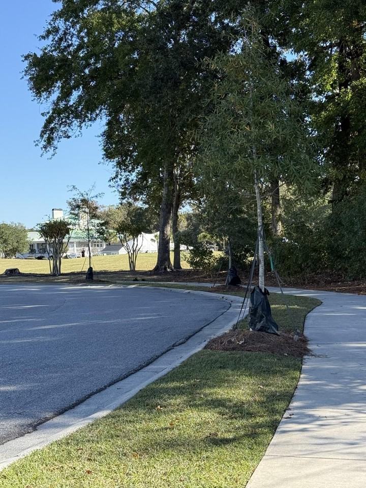 9423 Sun Fountain Dr - Photo 2 of 27