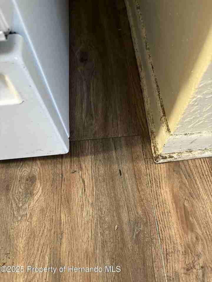 7184 Catalina St - Photo 4 of 16