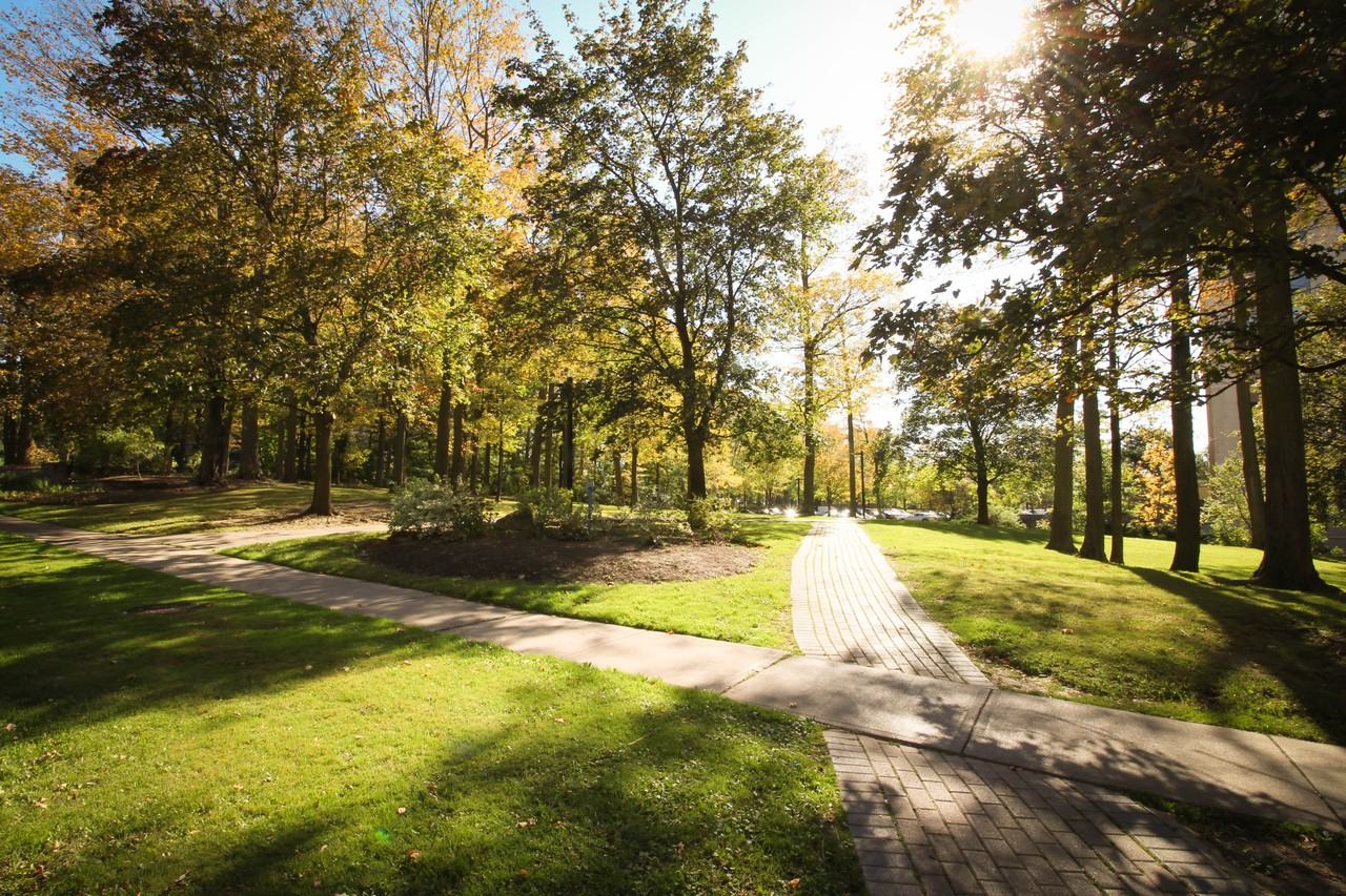 Maplegrove Apartments - Photo 3 of 17