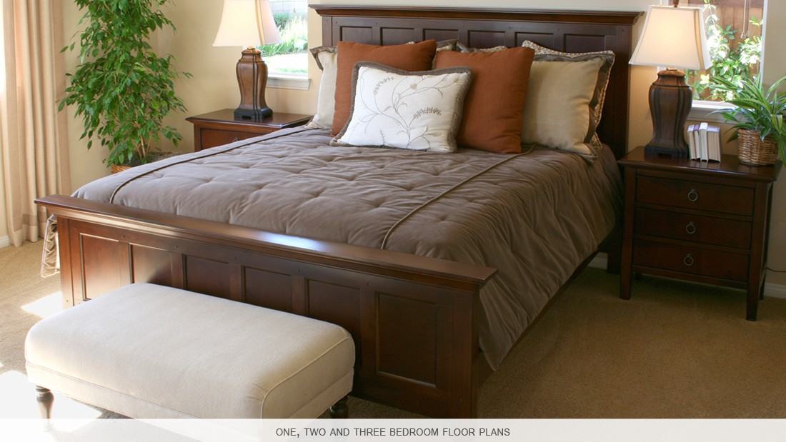 Rideau Towers - Photo 4 of 6