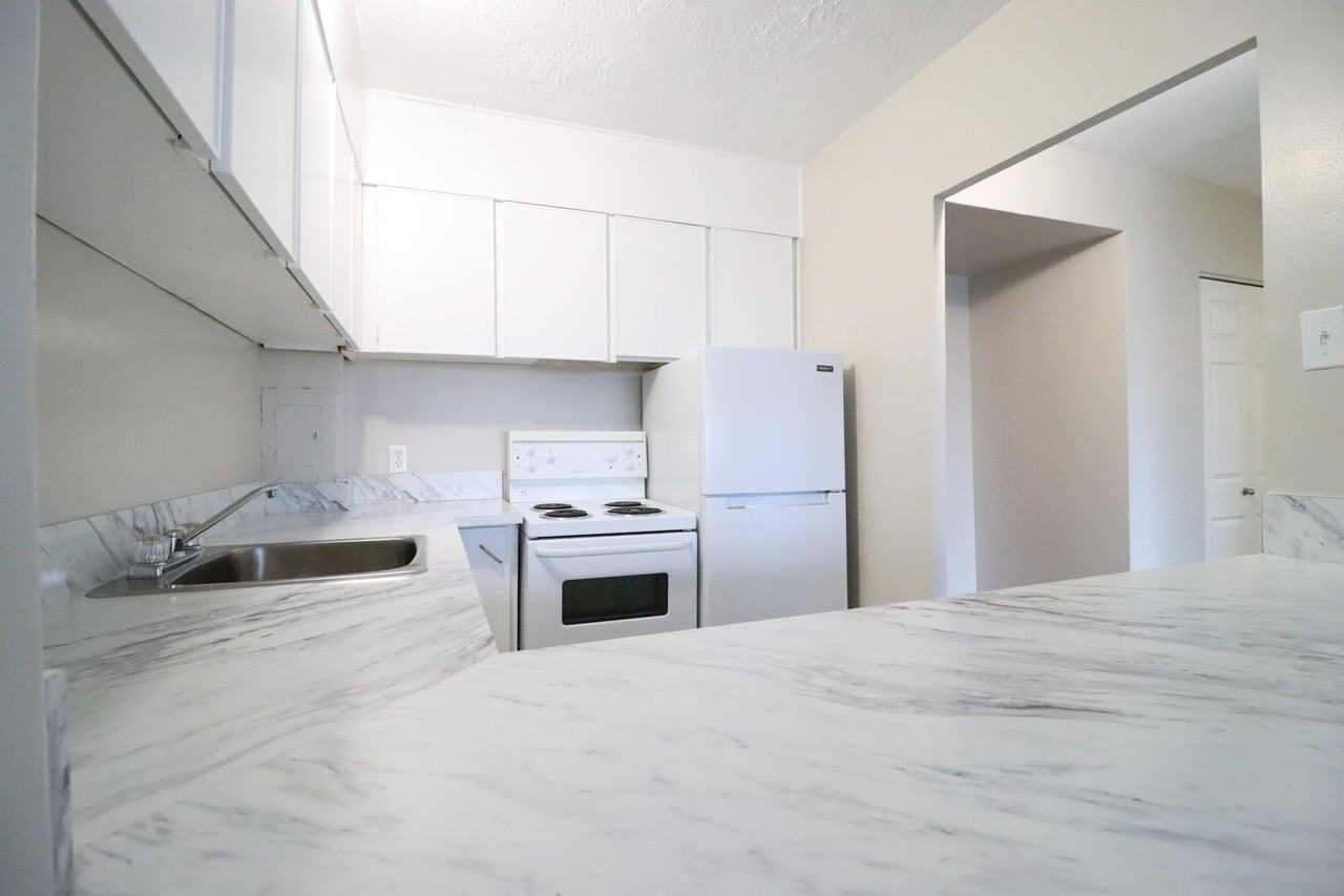 321 Waverley Street - Photo 4 of 15