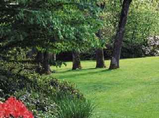 Laurier House - Photo 6 of 31