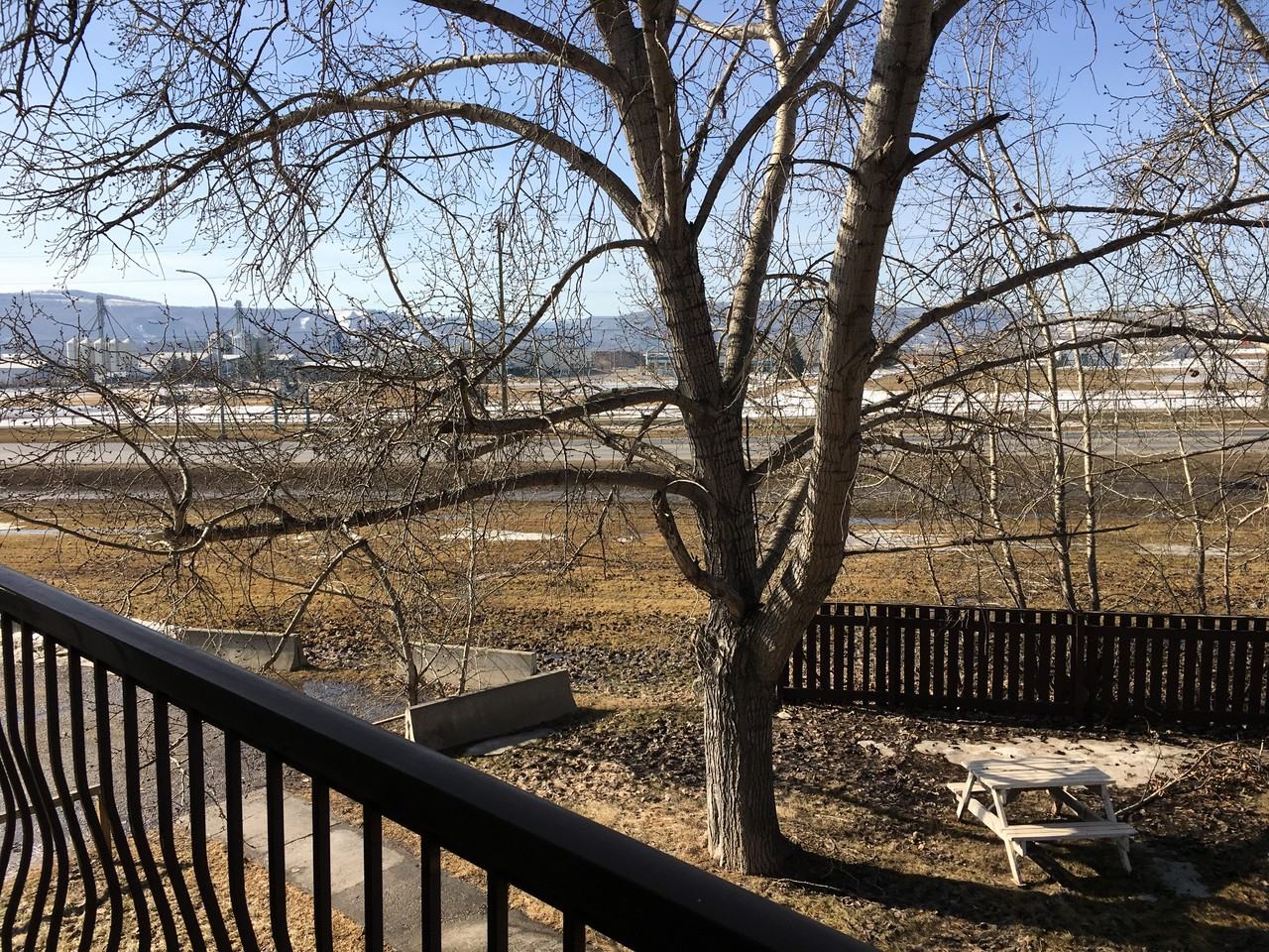 Spruce Manor - Photo 7 of 10