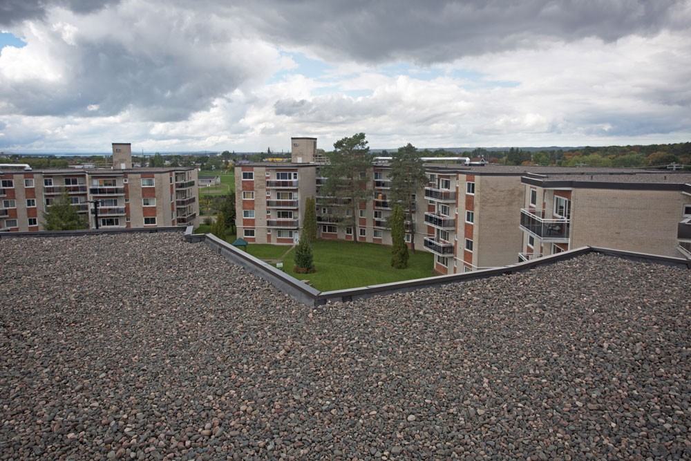 Pine Allard Properties - Photo 5 of 37