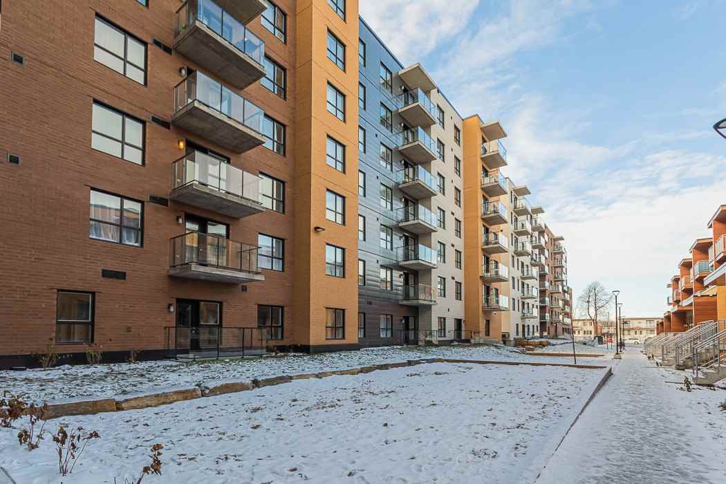 CITTA I - Photo 4 of 33