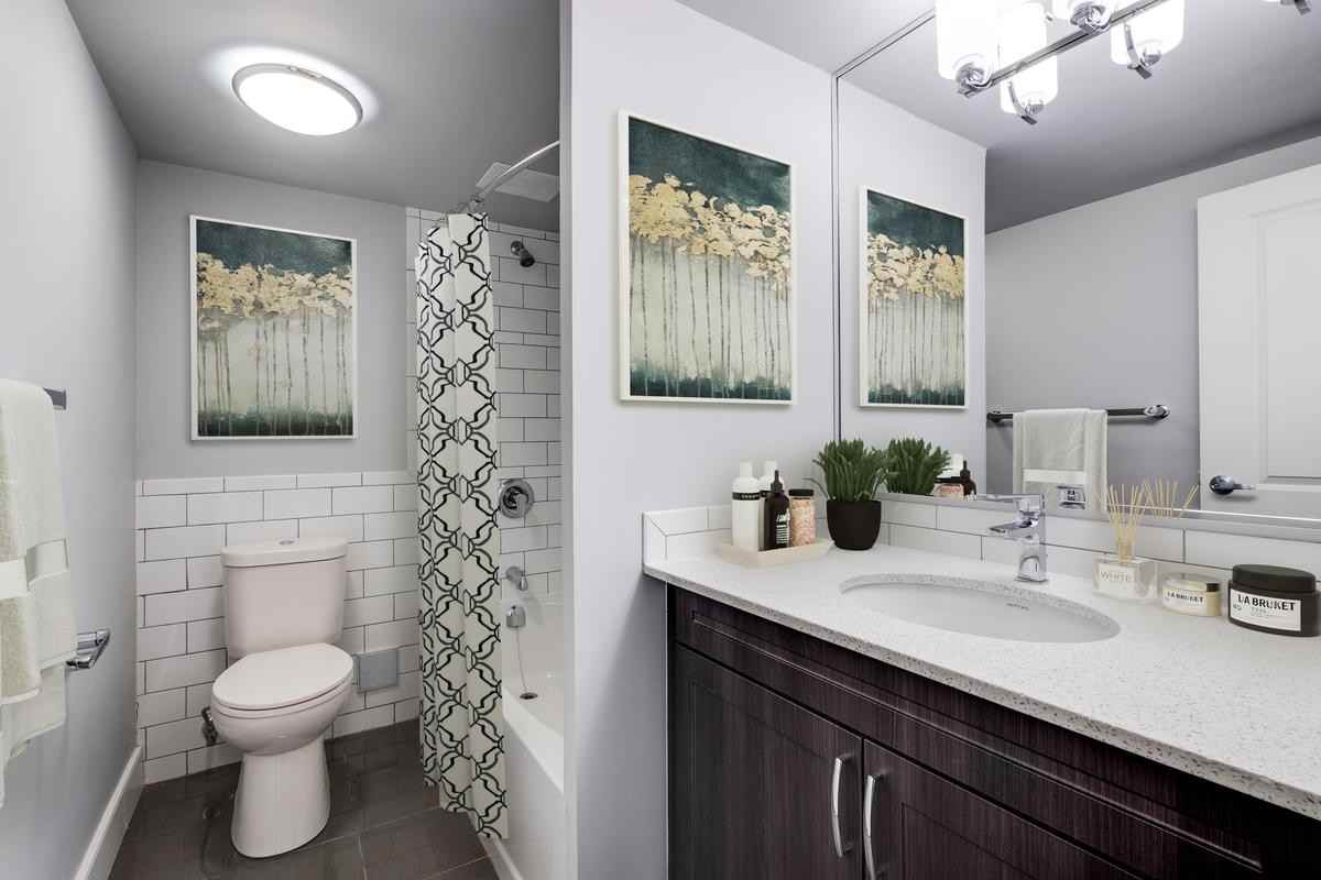 432-462 Leinster Street - Photo 6 of 30