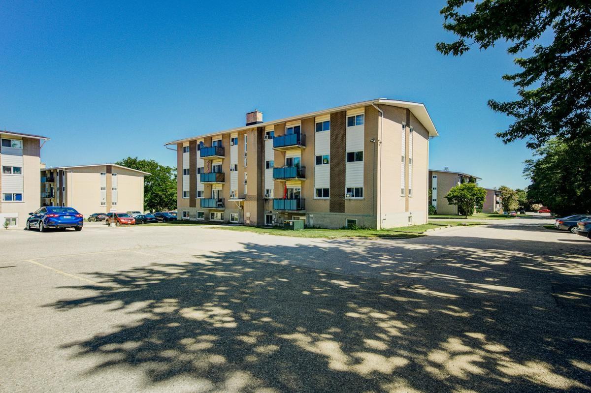 432-462 Leinster Street - Photo 7 of 30