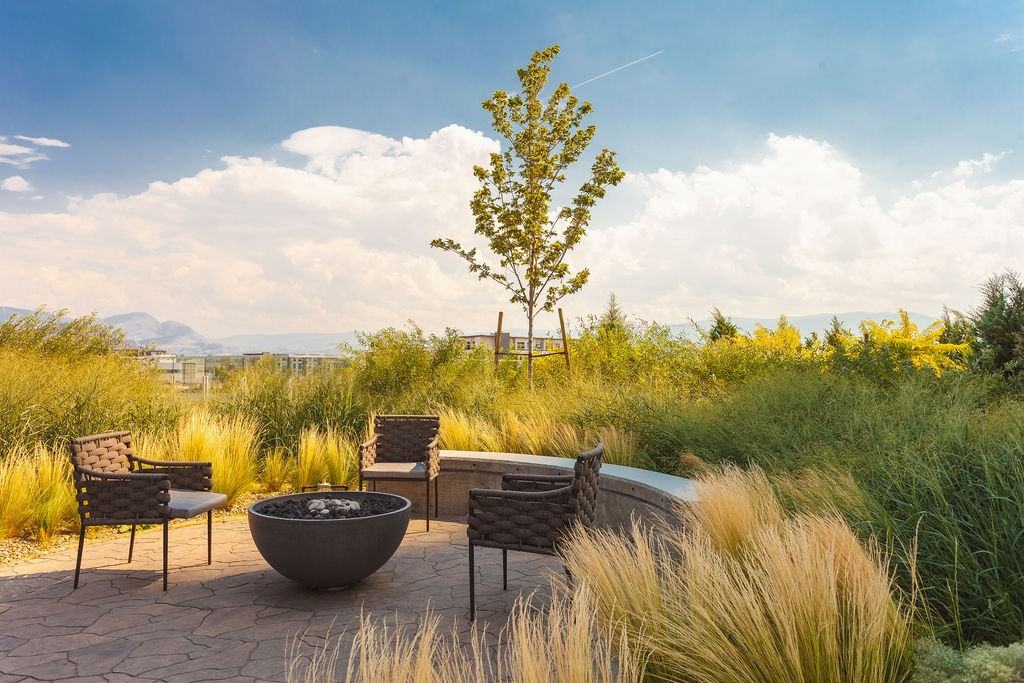 Boho Luxe - Photo 3 of 26