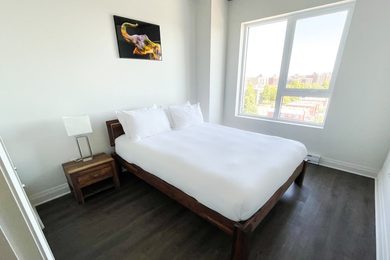 The Monarc - Photo 7 of 47