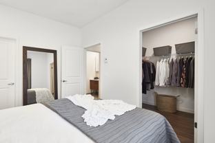 SOLEA - Photo 1 of 1