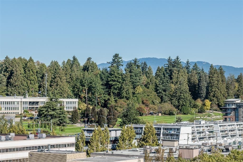 737 Carnarvon Street - Photo 5 of 22