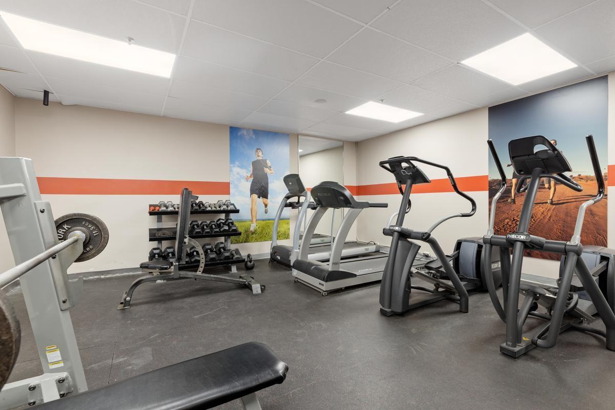 1971 St. Laurent Boulevard - Photo 5 of 7